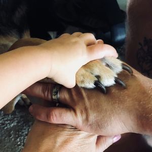 Meet your Posher, April